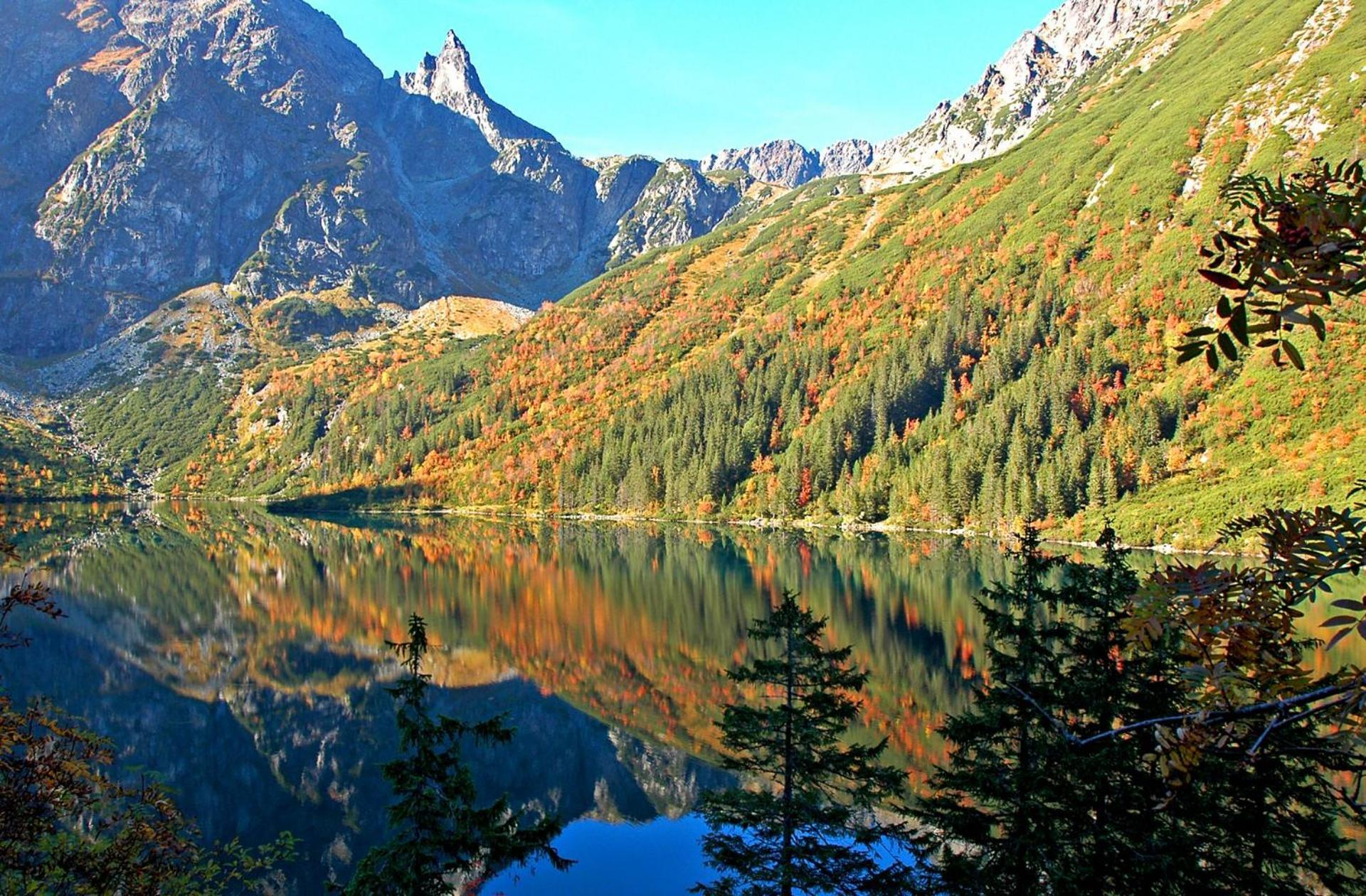 Apartament Krupowki 36/8 Zakopane Luaran gambar